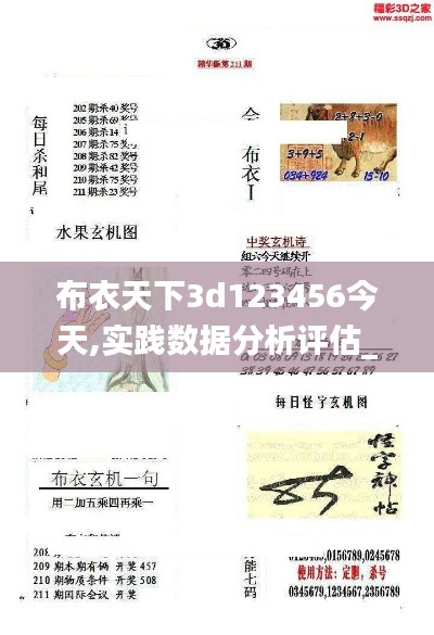 布衣天下3d123456今天,实践数据分析评估_体验版AJO2.24