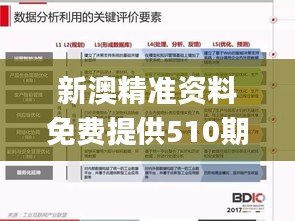 新澳精准资料免费提供510期,实践数据分析评估_目击版TOD2.29