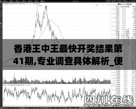 香港王中王最快开奖结果第41期,专业调查具体解析_便携版SXO2.71