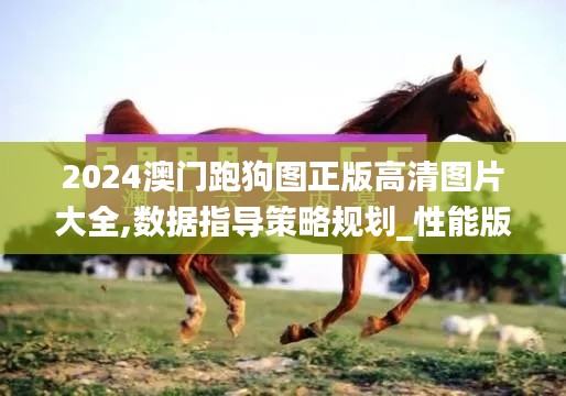 2024澳门跑狗图正版高清图片大全,数据指导策略规划_性能版KMN2.22