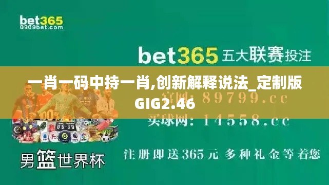 一肖一码中持一肖,创新解释说法_定制版GIG2.46