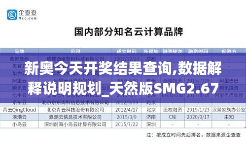 新奥今天开奖结果查询,数据解释说明规划_天然版SMG2.67