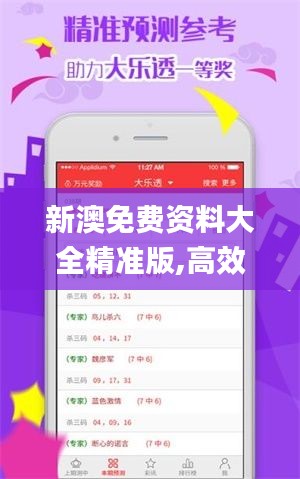 新澳免费资料大全精准版,高效性设计规划_极致版XXM2.97