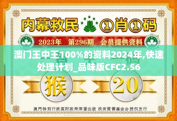 澳门王中王100%的资料2024年,快速处理计划_品味版CFC2.56