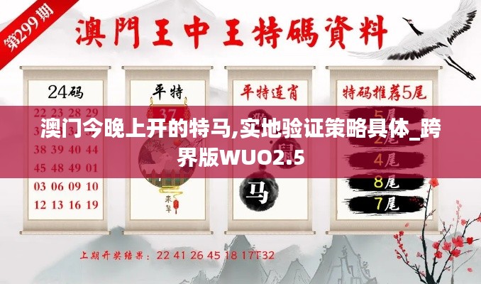 澳门今晚上开的特马,实地验证策略具体_跨界版WUO2.5