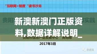 新澳新澳门正版资料,数据详解说明_先锋实践版ZEO2.40