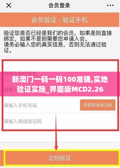 新澳门一码一码100准确,实地验证实施_界面版MCD2.26