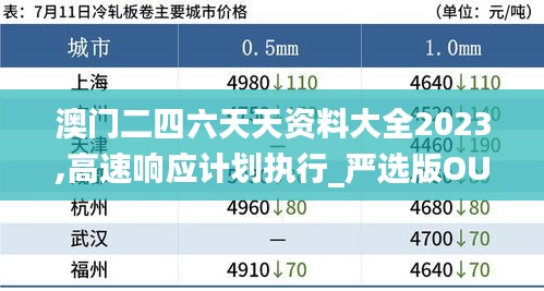 澳门二四六天天资料大全2023,高速响应计划执行_严选版OUX2.75