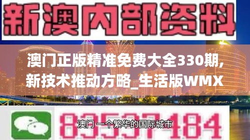 澳门正版精准免费大全330期,新技术推动方略_生活版WMX11.99