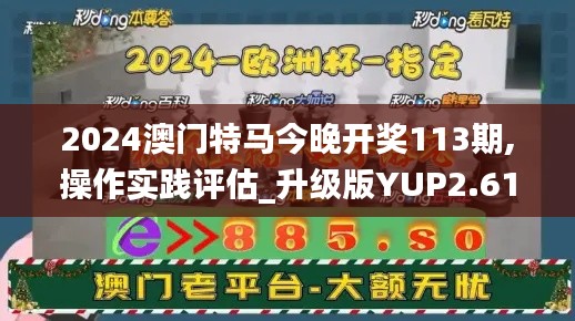 2024澳门特马今晚开奖113期,操作实践评估_升级版YUP2.61