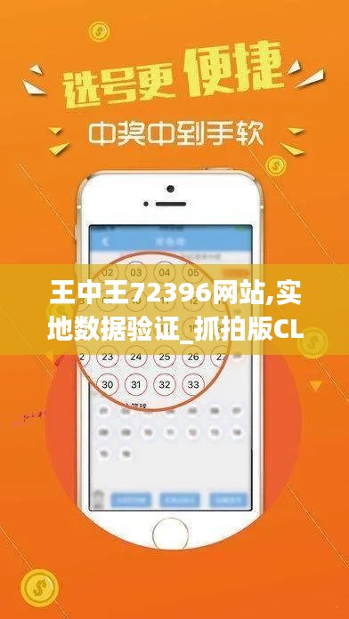 王中王72396网站,实地数据验证_抓拍版CLJ2.67