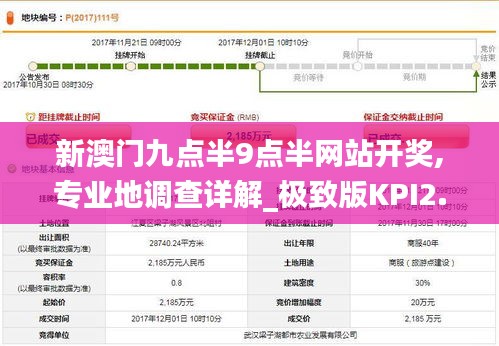 新澳门九点半9点半网站开奖,专业地调查详解_极致版KPI2.33
