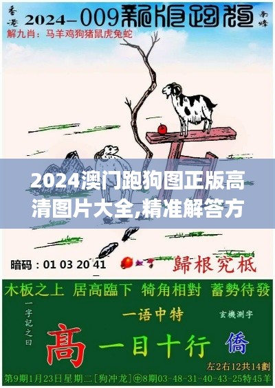 2024澳门跑狗图正版高清图片大全,精准解答方案详解_创意设计版THC2.45