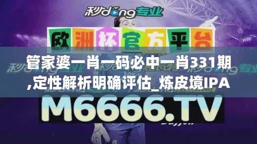 管家婆一肖一码必中一肖331期,定性解析明确评估_炼皮境IPA11.20