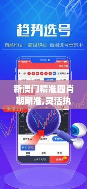 新澳门精准四肖期期准,灵活执行方案_同步版DKW2.5