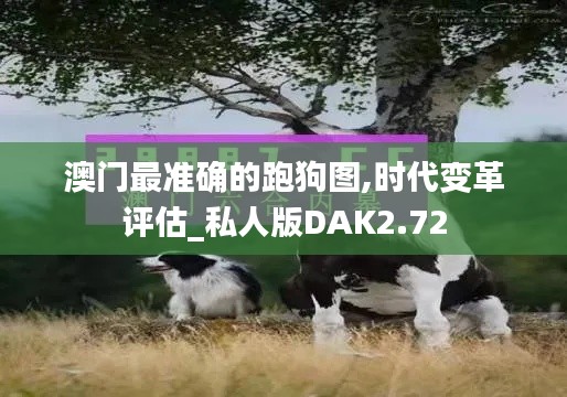 澳门最准确的跑狗图,时代变革评估_私人版DAK2.72