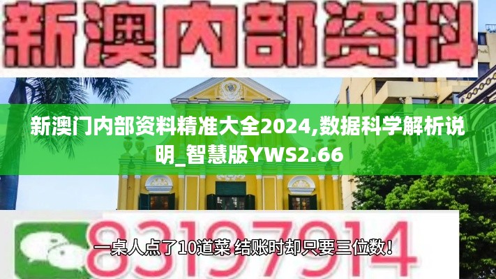 新澳门内部资料精准大全2024,数据科学解析说明_智慧版YWS2.66