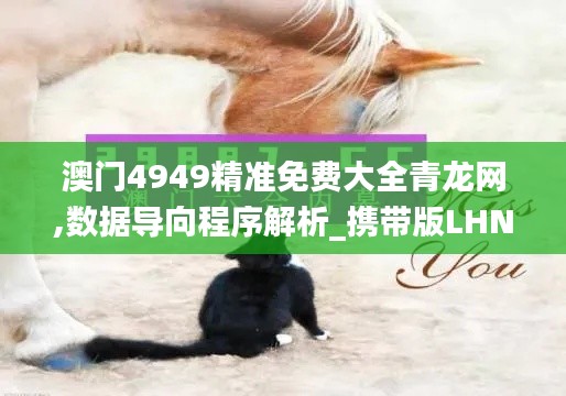 澳门4949精准免费大全青龙网,数据导向程序解析_携带版LHN2.89