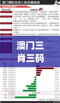 澳门三肖三码三期凤凰网,高效计划实施_限定版FYA2.32