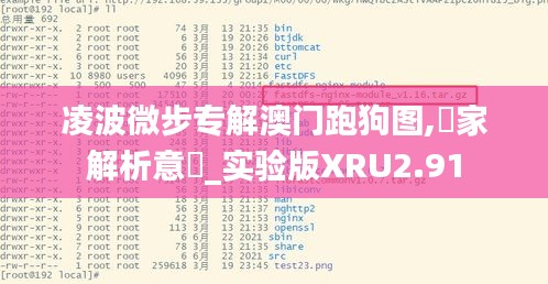 凌波微步专解澳门跑狗图,專家解析意見_实验版XRU2.91