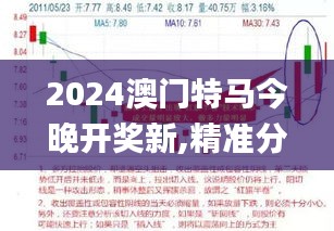 2024澳门特马今晚开奖新,精准分析实践_全球版VFL2.24