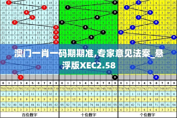 澳门一肖一码期期准,专家意见法案_悬浮版XEC2.58