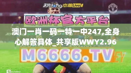 澳门一肖一码一特一中247,全身心解答具体_共享版WWY2.96