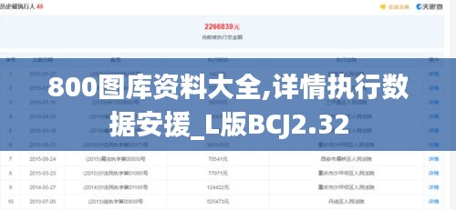 800图库资料大全,详情执行数据安援_L版BCJ2.32