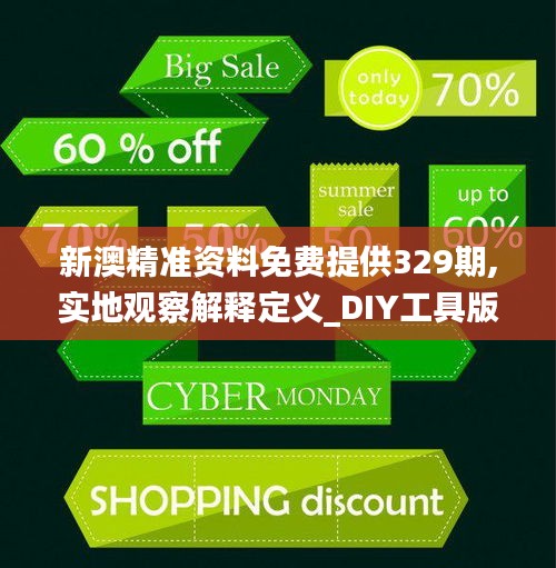 新澳精准资料免费提供329期,实地观察解释定义_DIY工具版WSZ11.19