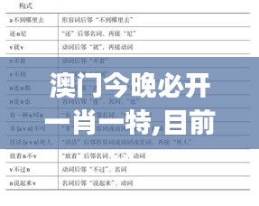 澳门今晚必开一肖一特,目前现象解析描述_教育版JJY2.92