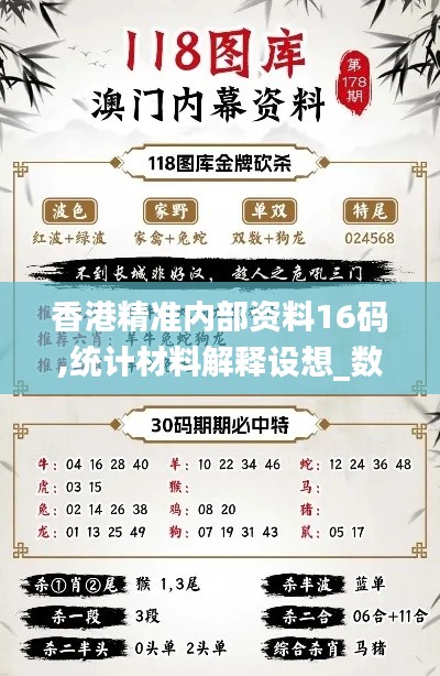 香港精准内部资料16码,统计材料解释设想_数字版BWU2.21