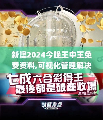 新澳2024今晚王中王免费资料,可视化管理解决方案_线上版FMM2.3