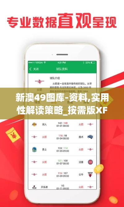 新澳49图库-资料,实用性解读策略_按需版XFN2.92