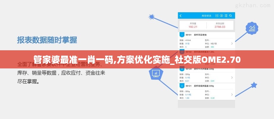 管家婆最准一肖一码,方案优化实施_社交版OME2.70