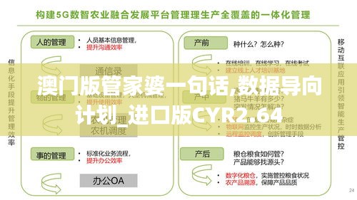 澳门版管家婆一句话,数据导向计划_进口版CYR2.64