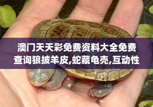 澳门天天彩免费资料大全免费查询狼披羊皮,蛇藏龟壳,互动性策略设计_持久版IMI2.82