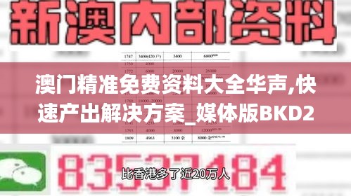 澳门精准免费资料大全华声,快速产出解决方案_媒体版BKD2.58