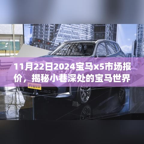11月22日2024宝马x5市场报价，揭秘小巷深处的宝马世界，探访隐藏版特色小店，2024宝马X5市场报价独家揭晓