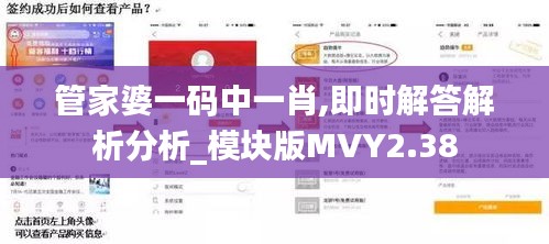 管家婆一码中一肖,即时解答解析分析_模块版MVY2.38