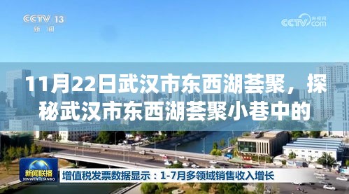 探秘武汉东西湖荟聚小巷之宝，独特小店揭秘之旅