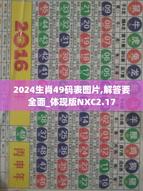 2024生肖49码表图片,解答要全面_体现版NXC2.17