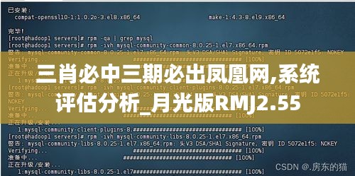 三肖必中三期必出凤凰网,系统评估分析_月光版RMJ2.55
