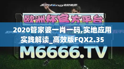 2020管家婆一肖一码,实地应用实践解读_高效版FQX2.35