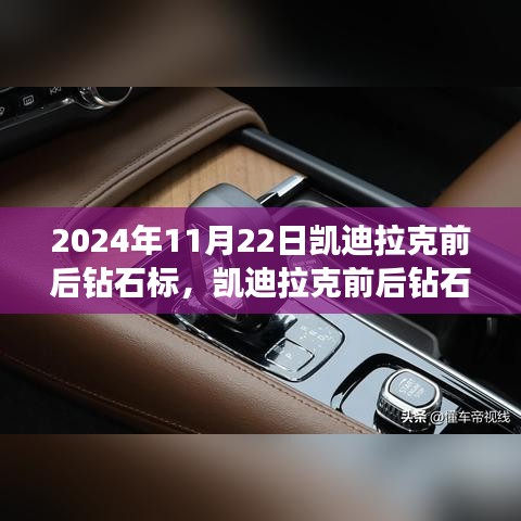 熊经鸟申 第5页