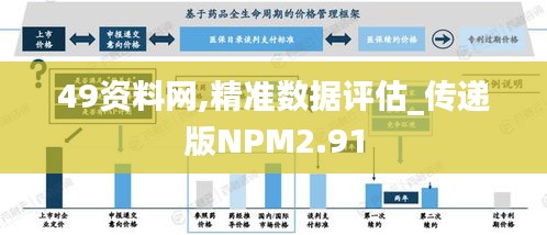 49资料网,精准数据评估_传递版NPM2.91