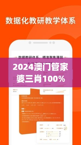 2024澳门管家婆三肖100%,安全设计解析说明法_车载版YQK2.17
