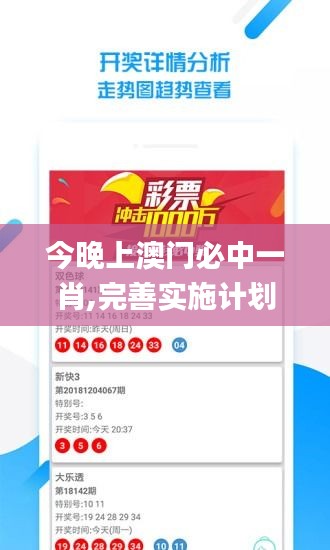 今晚上澳门必中一肖,完善实施计划_增强版OBS2.12