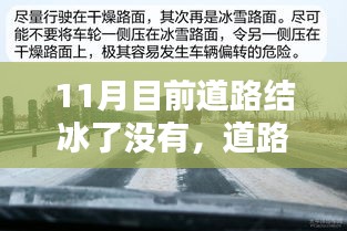 11月道路结冰情况查询指南，判断与应对风险，初学者与进阶用户通用