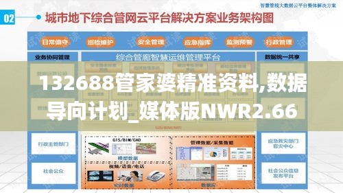 132688管家婆精准资料,数据导向计划_媒体版NWR2.66