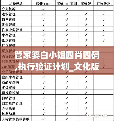 管家婆白小姐四肖四码,执行验证计划_文化版PLU2.16
